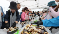 [인천] 연평 꽃게체험 걷기 축제 성황리에 종료