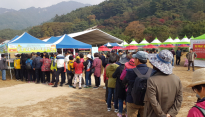 [문경시] 이찬원·박서진, 사과황제 감홍사과 쏟아지는 문경사과축제 동시 출격