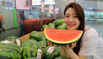 롯데마트, 28일까지 '꿀맛 수박 페스티벌' [유통가 Pick]