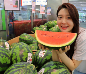 롯데마트, 28일까지 '꿀맛 수박 페스티벌'