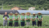 국정과제 단박 채택 경북 농업대전환, 혁신 모델 떴다⋯수박·토마토 이모작 봉화수박농가들 연소득 4억 달성