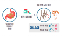 위장 속 헬리코박터균 치료하니, 골다공증 발생 낮춘다