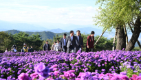 보랏빛 노을에 물든 감악산 꽃별여행, 거창 관광 르네상스의 서막