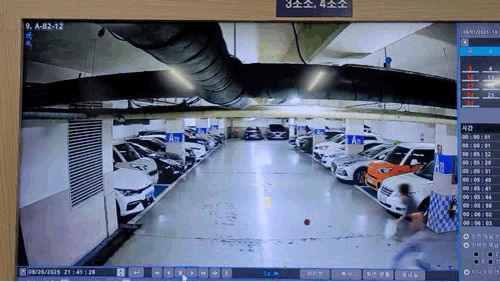 쇠망치 휘두른 중국인 2명, 중소기업 대표 납치·살해 시도